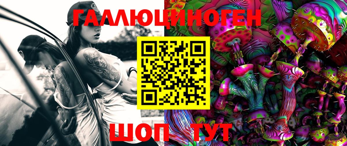 Псилоцибиновые грибы Psilocybe Дзержинск