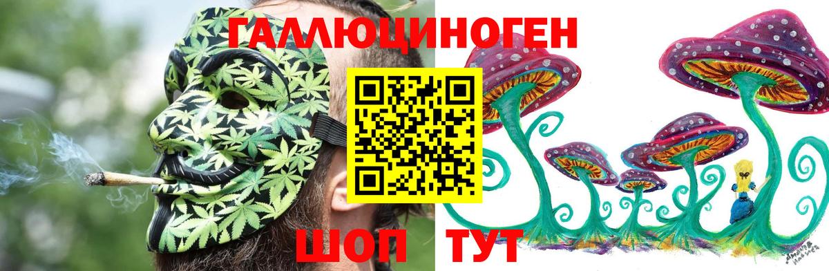 Дзержинск  Псилоцибиновые грибы Psilocybine cubensis  Вход с VPN  Псилоцибиновые грибы Psilocybe 